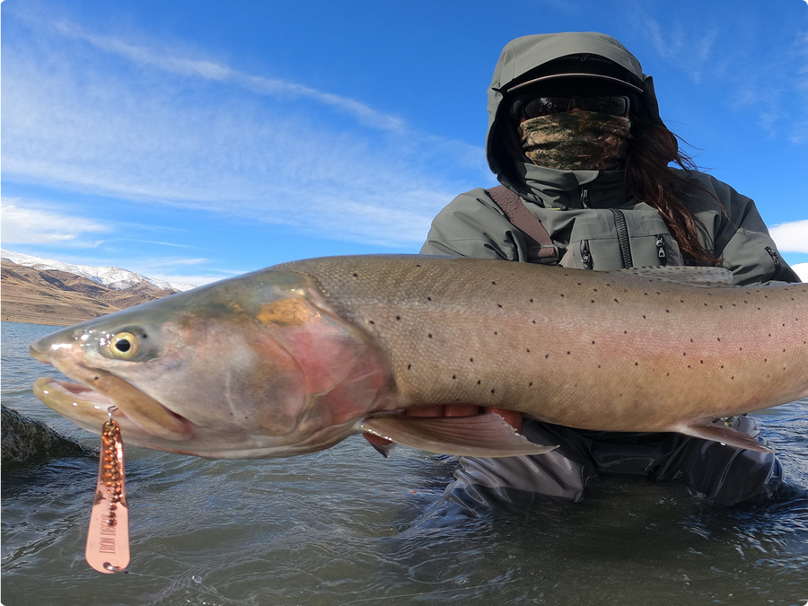 An angler holding a fish with a bronze fishing lure