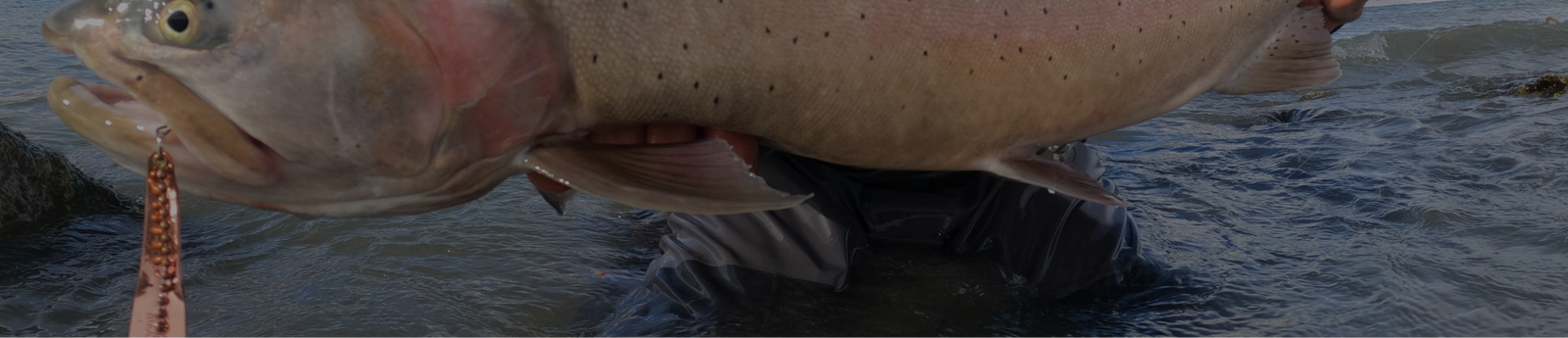 CATCH MORE FISH THAN EVER